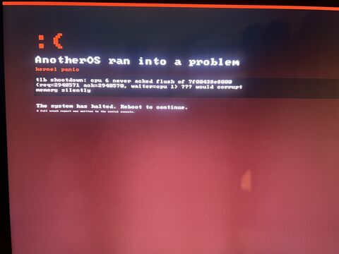 A kernel panic